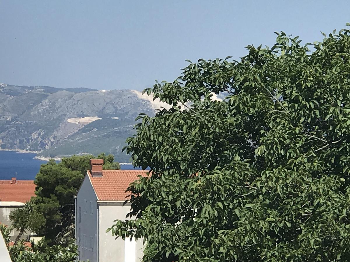 Jelena 1 Διαμέρισμα Cavtat Εξωτερικό φωτογραφία